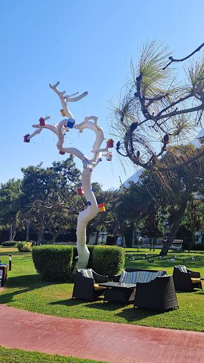 Außenansicht TUI MAGIC LIFE Beldibi +16