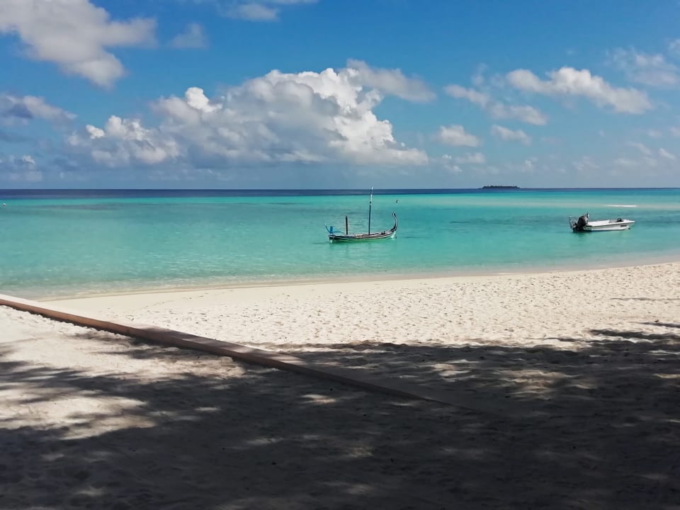 Strand Summer Island Maldives