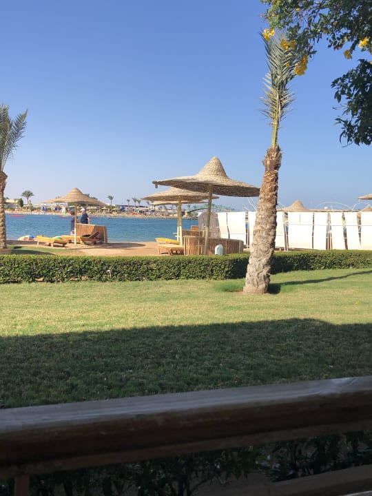 Ausblick Desert Rose