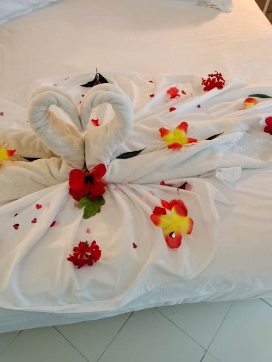 Zimmer Golden Tulip President Hammamet