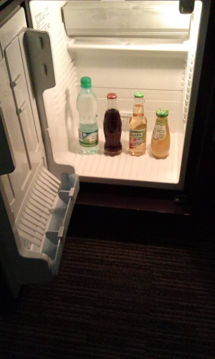 Lodówka Hotel Ibb Andersia