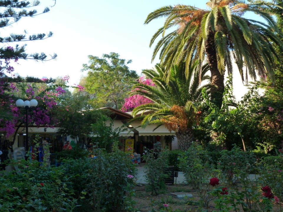 Pflanzenpracht Apollonia Beach Resort & Spa