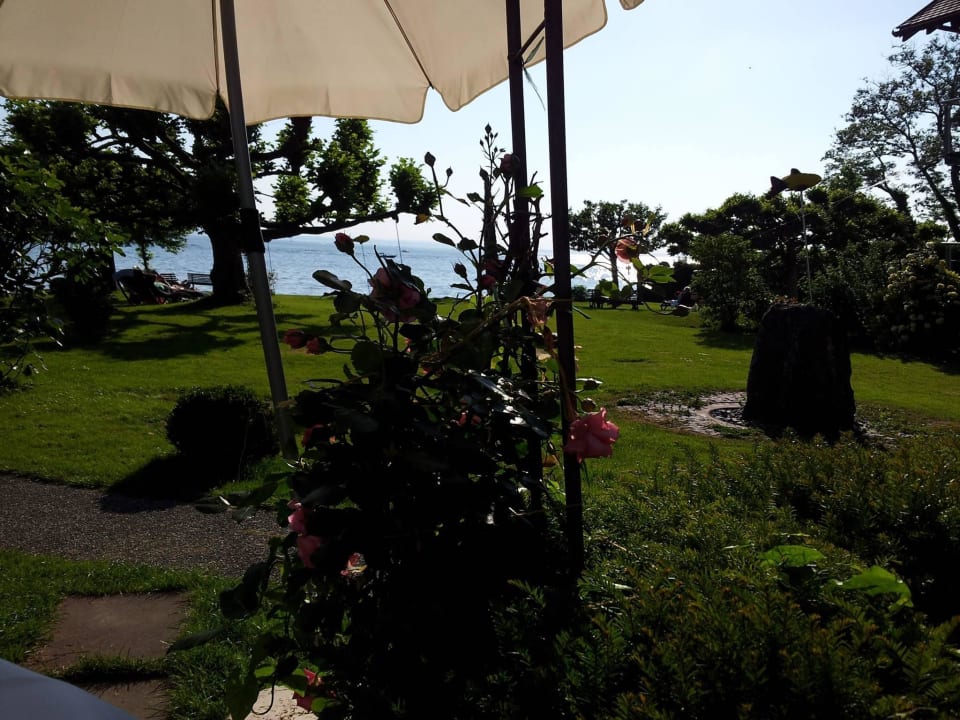 Blick von der Terrasse  Hotel Haus am See