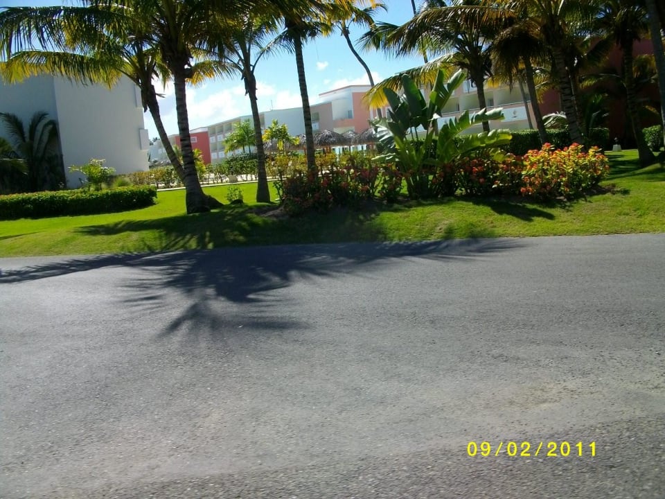 Spaziergang  Grand Palladium Select Bávaro Resort & Spa