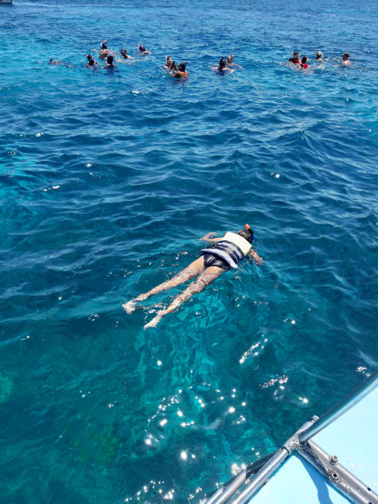 Sport & Freizeit Pickalbatros White Beach Resort - Hurghada