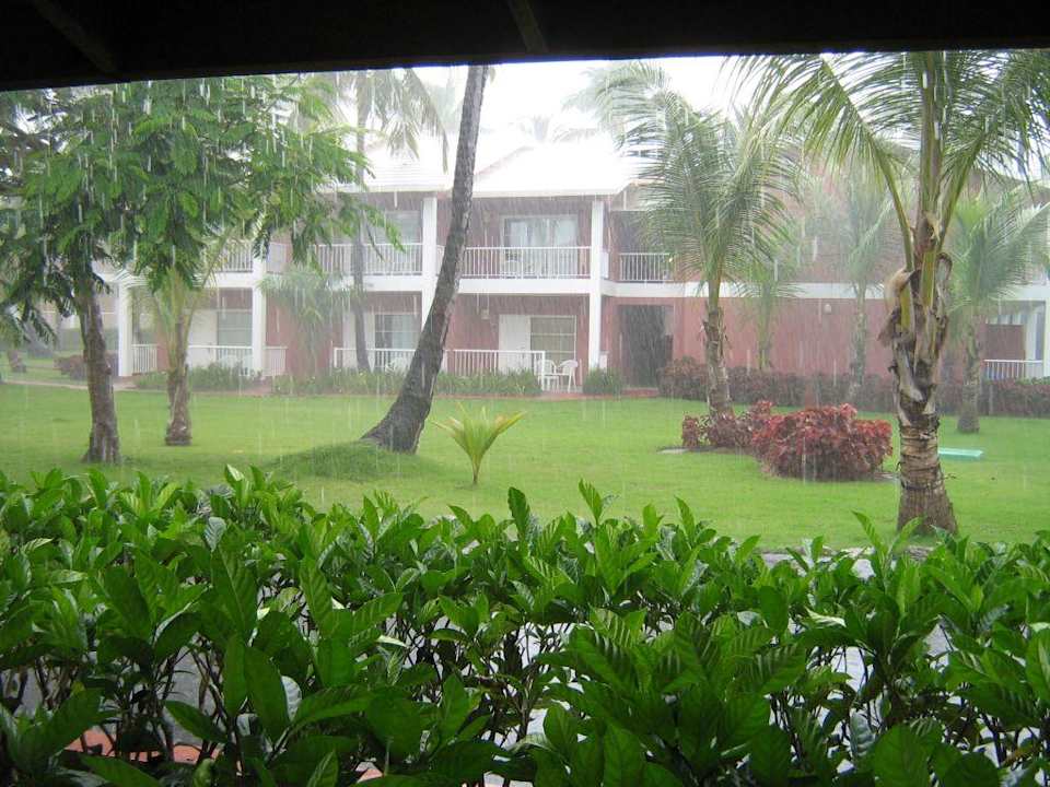 Gartenanlage im Regen Grand Palladium Select Bávaro Resort & Spa