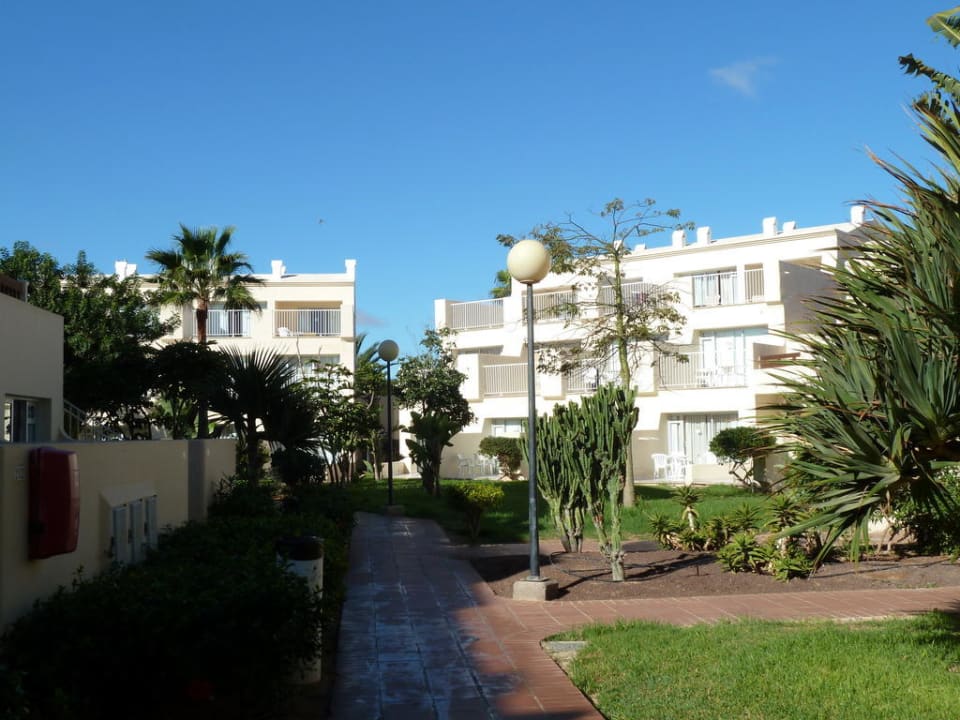 Einer der vielen Wege  Hotel Riu Oliva Beach Resort