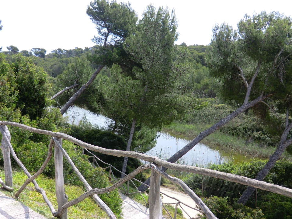 Fluß hinter dem Hotel Hotel Exagon Park