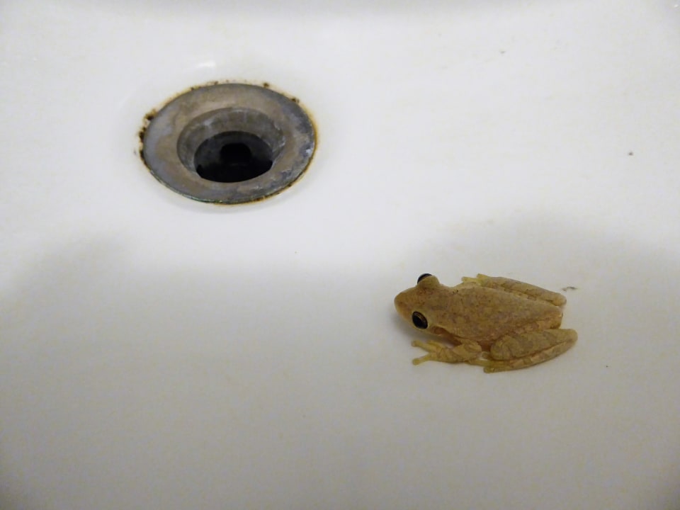 Zimmer Hotel Las Cuevas