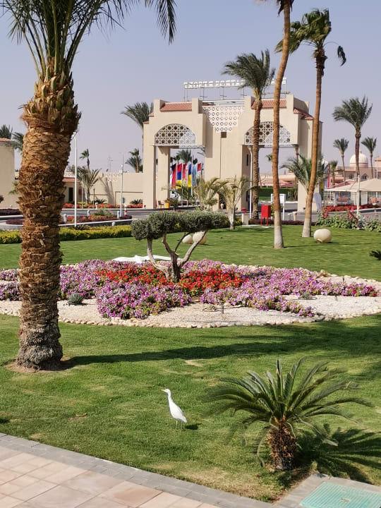 Gartenanlage Beach Albatros Resort