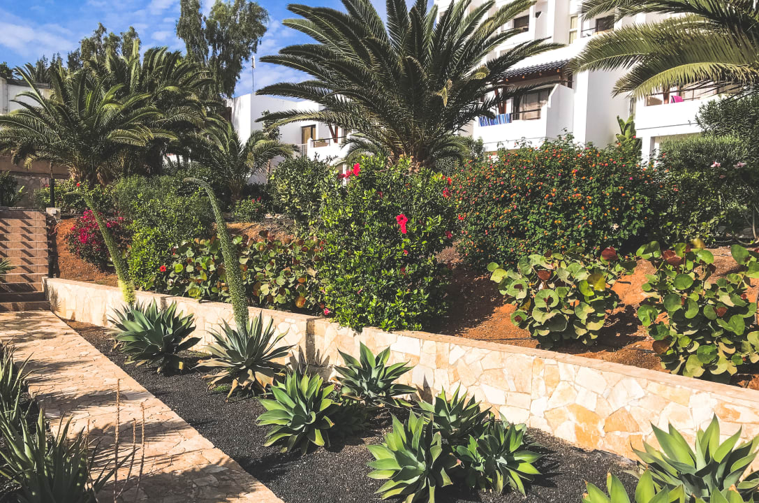 Gartenanlage Marina Playa Suite Hotel