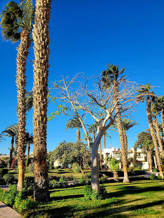 Außenansicht Lotus Bay Beach Resort