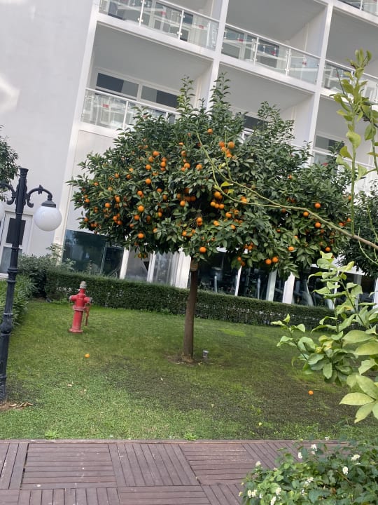 Gartenanlage Hotel SU & Aqualand