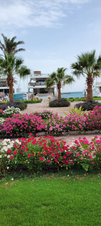 Ausblick Hilton Hurghada Plaza