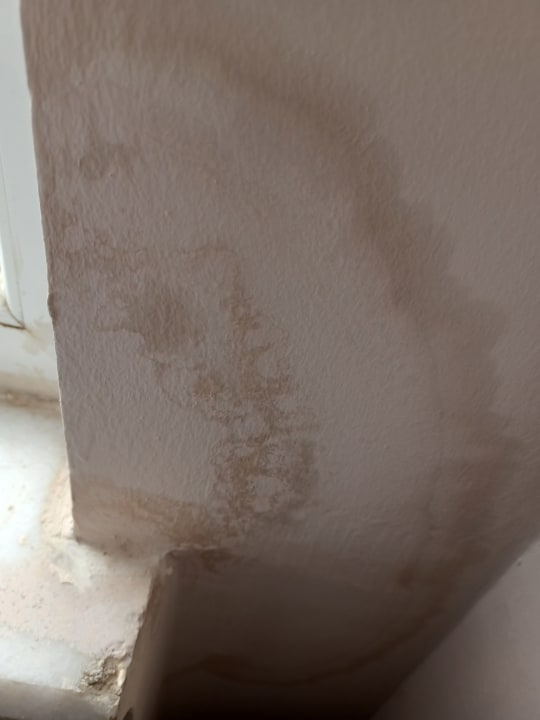 Zimmer Andros Family Club