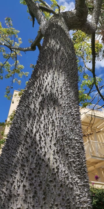 Gartenanlafe TUI MAGIC LIFE Calabria