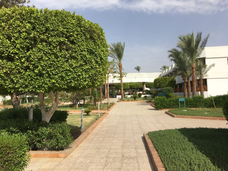 Gartenanlage Ghazala Beach