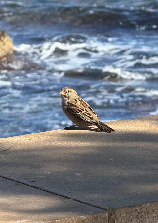 Sonstiges allsun Hotel Borneo - Adults only