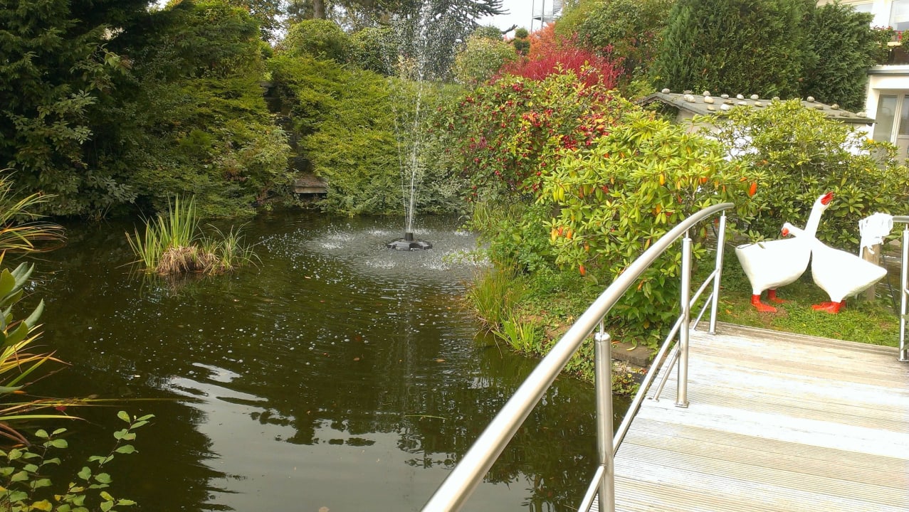Brücke über den Teich Wildpark Hotel