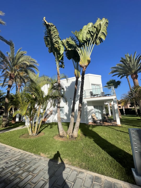 Gartenanlage Hotel Riu Palace Meloneras