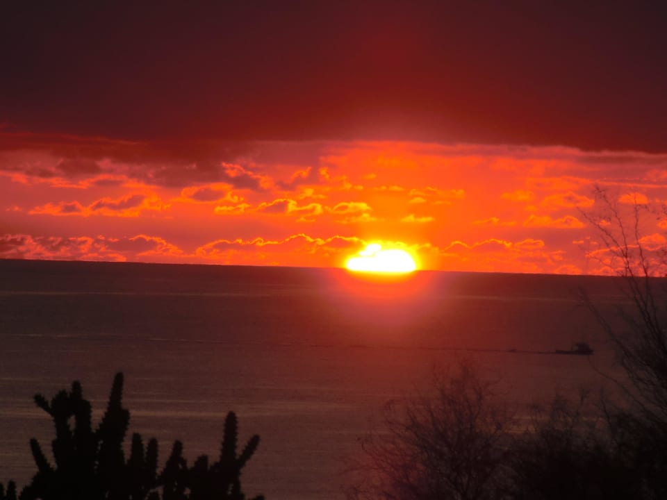 Sonnenaufgang von der Treppe Hotel El Palmar