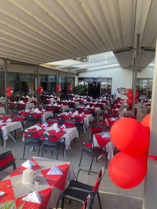 Gastro Seashell Vega