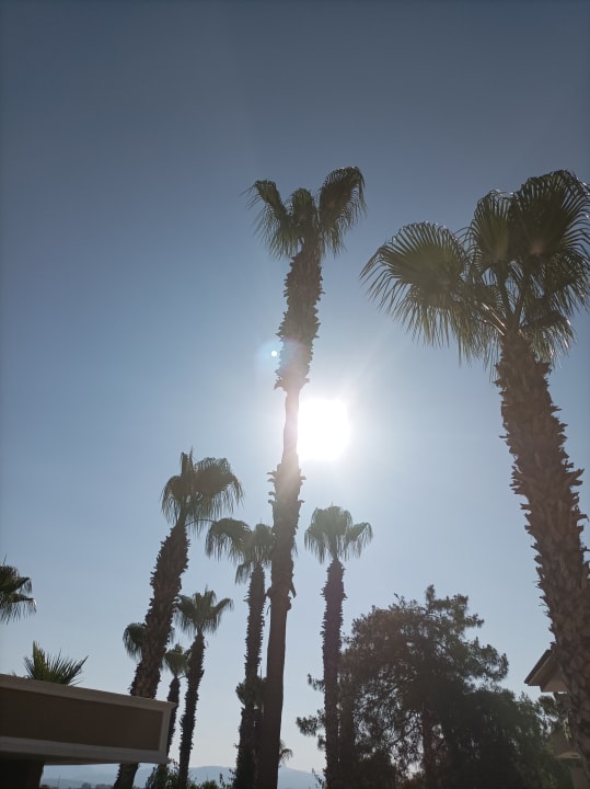 Ausblick Club Sidelya Hotel