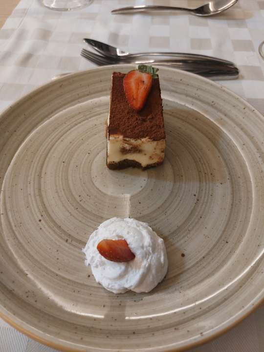 Gastro Seashell Vega