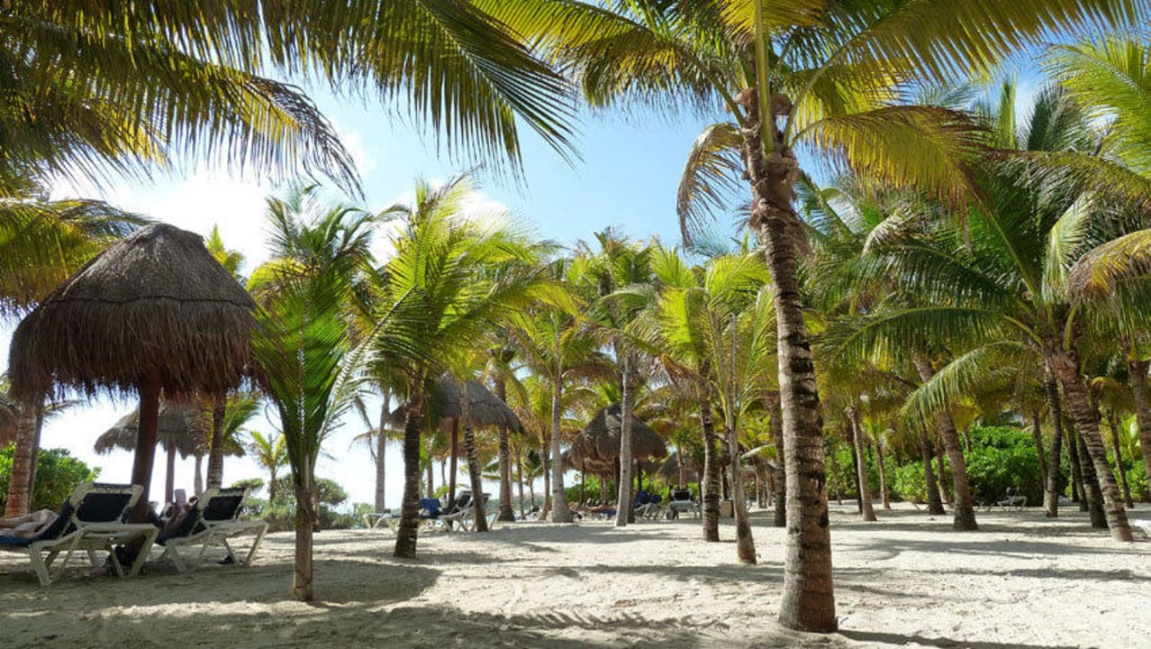 Ein Träumchen Grand Palladium Kantenah Resort & Spa