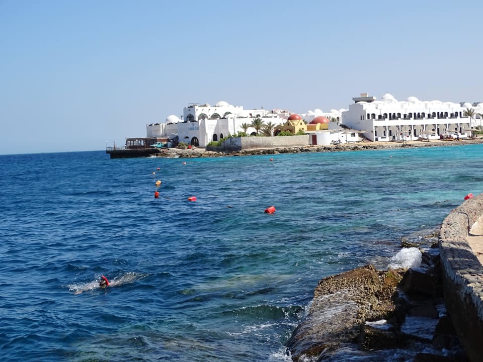 Hausriff -Süd- Arabia Azur Resort