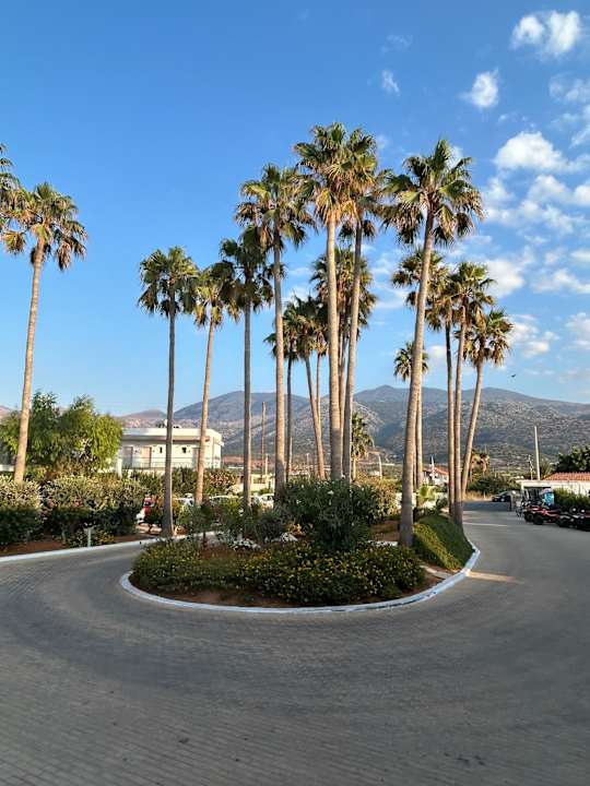 Außenansicht allsun Hotel Carolina Mare