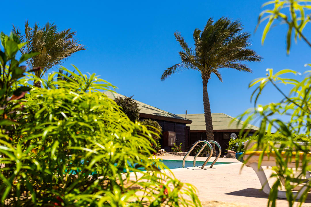 Pool Abu dabbab lodge