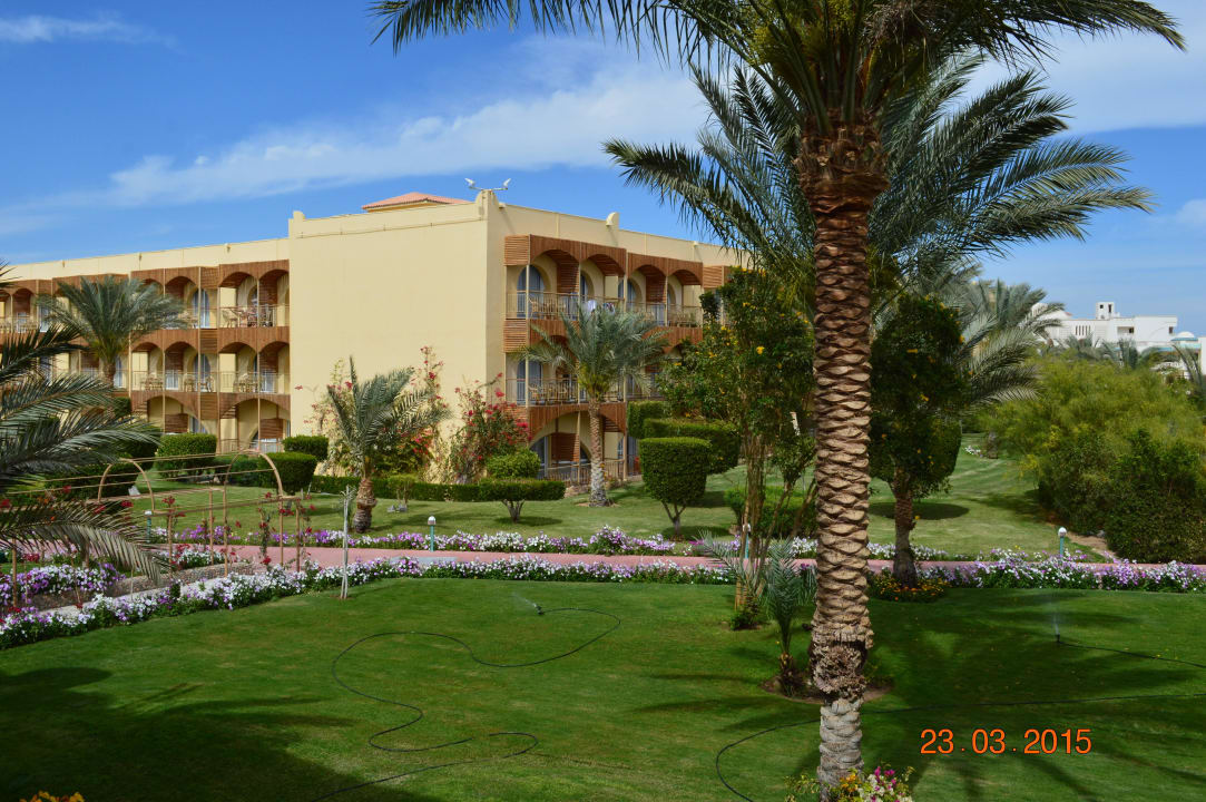 Вид из номера Desert Rose