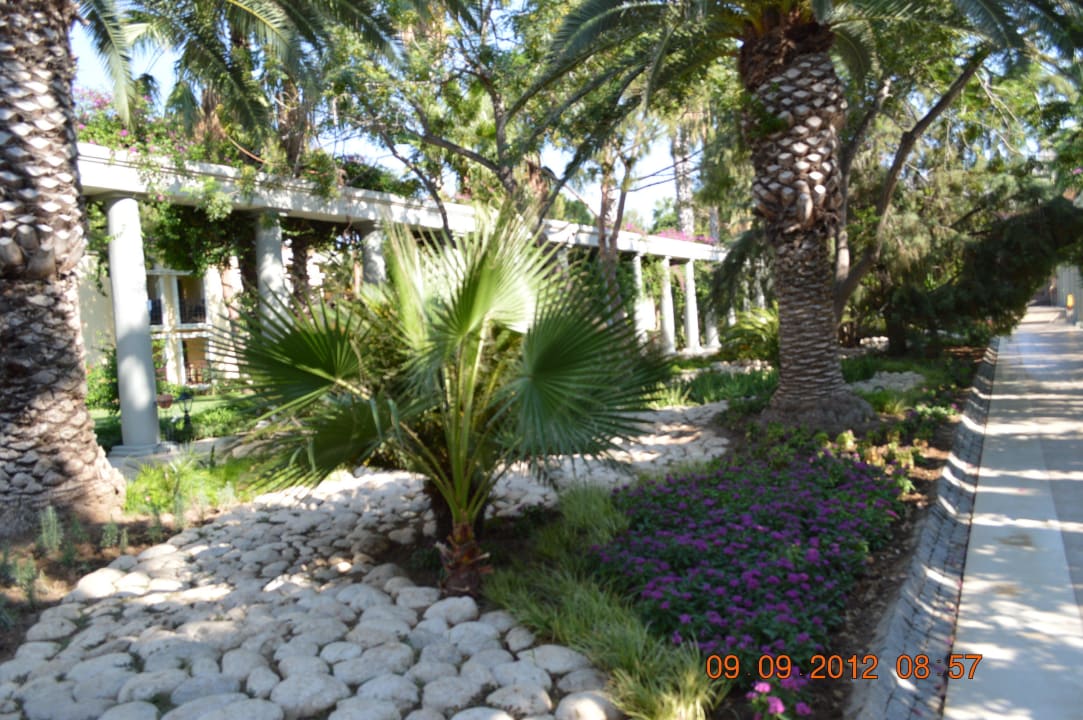 Widok przed lobby TUI Magic Life Belek