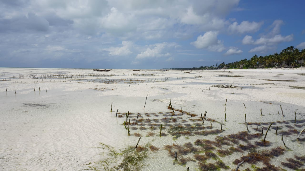 Ebbe Red Monkey Beach Lodge
