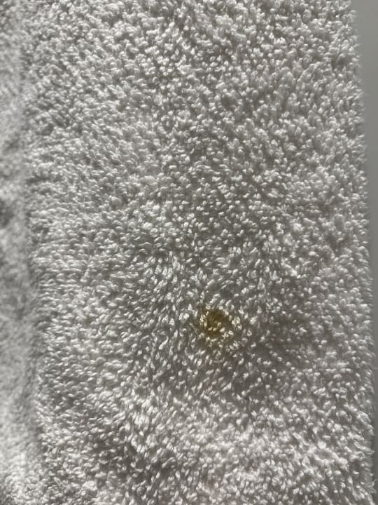 Zimmer Ulysse Djerba Thalasso & Spa