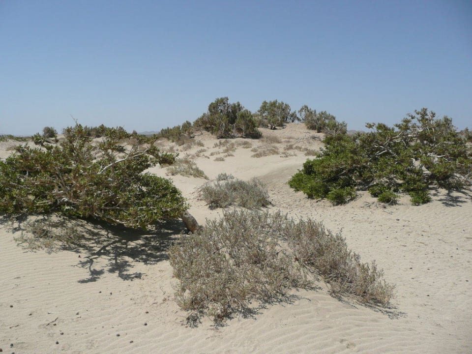 Dünen Shams Alam Beach Resort