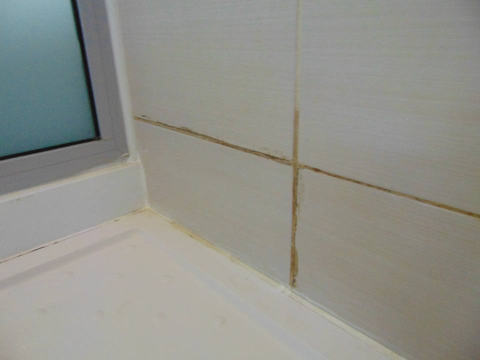 Zimmer Rexan International Hotel