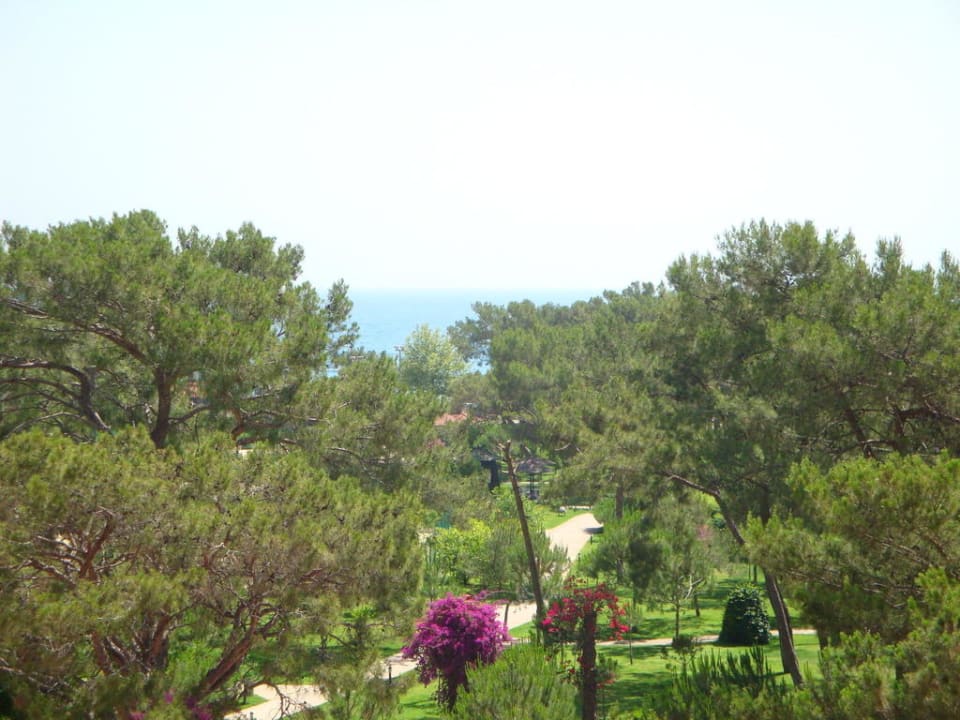 Balkonausblick Balmy Foresta