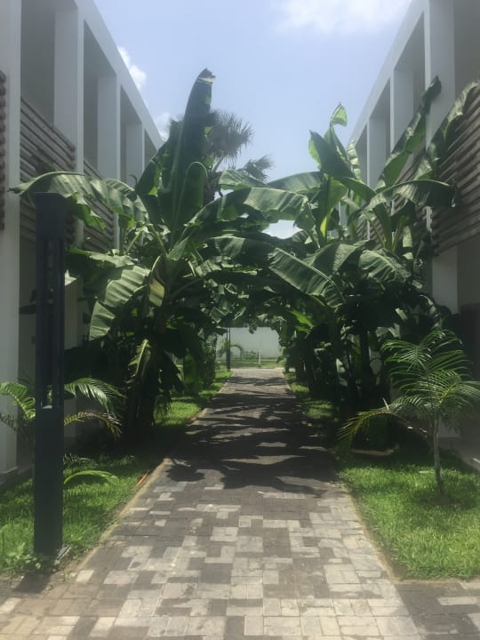 Gartenanlage TUI BLUE Tamala