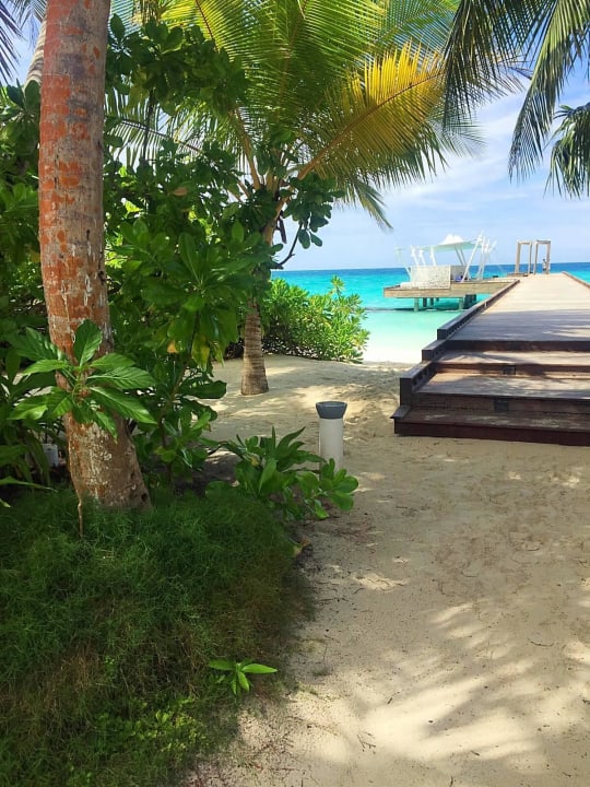 Havana Bar Kuramathi Maldives