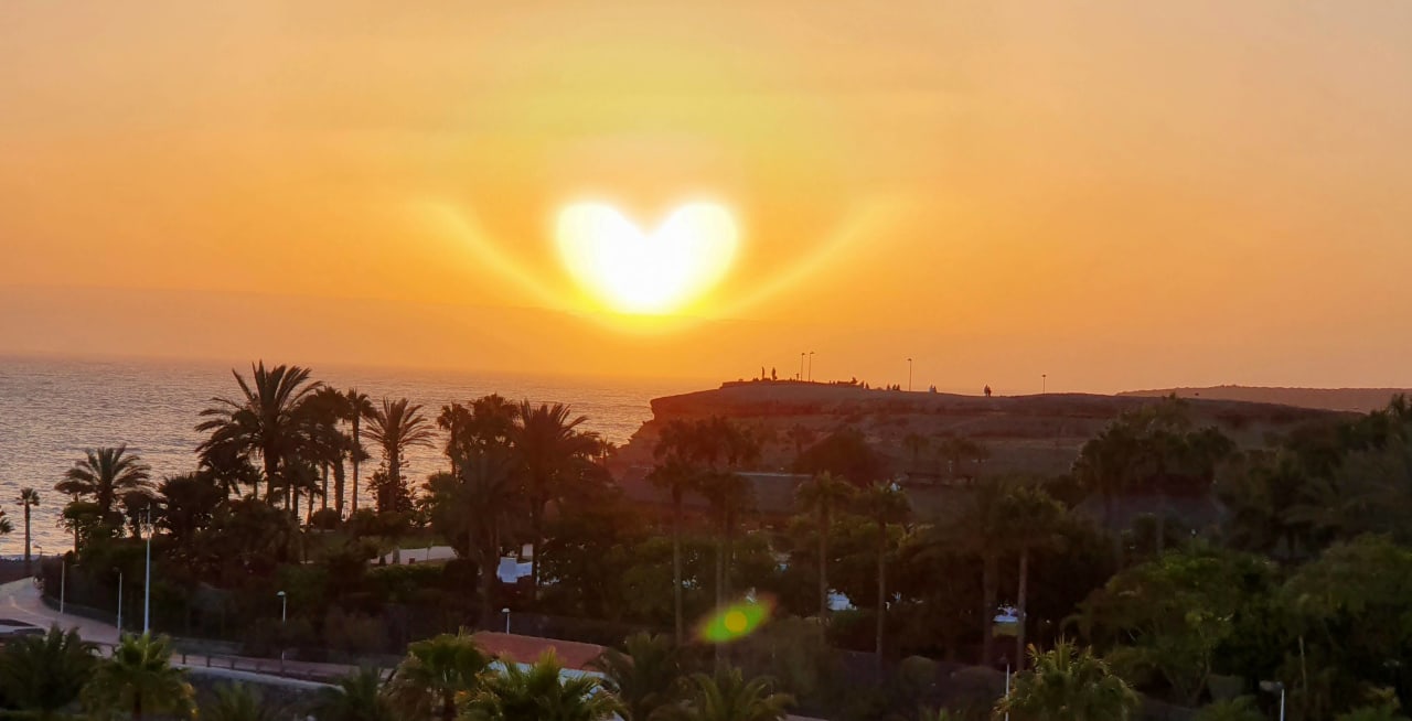 Ausblick Hotel Riu Palace Tenerife