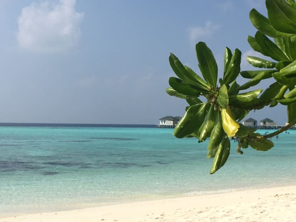 Strand NH Collection Maldives Havodda Resort