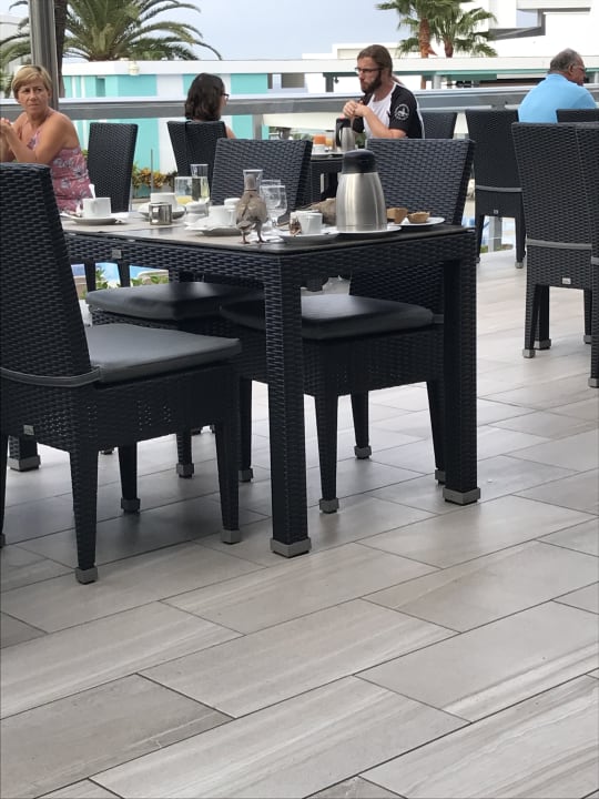 Gastro Hotel Riu Arecas - Adults only