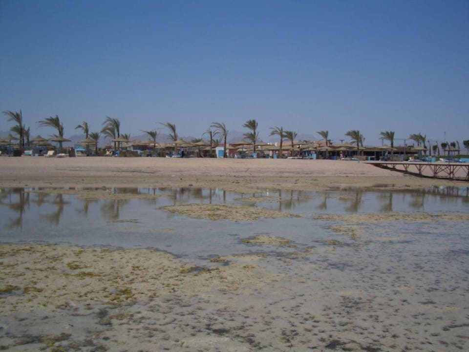 strand bei ebbe Pickalbatros Royal Moderna Resort-Sharm El Sheikh