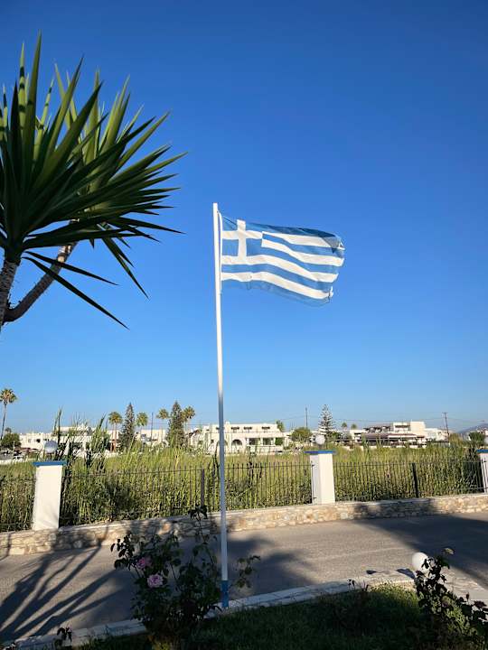 Ausblick Hotel Tigaki's Star