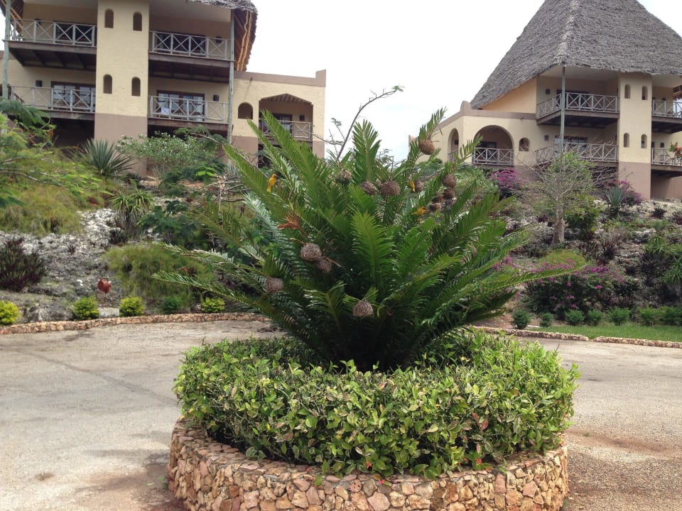 Hof vor Lobby (man beachte die Vögel) Neptune Pwani Beach Resort & Spa