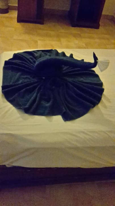 400 er Zimmer Pickalbatros Alf Leila Wa Leila Resort - Neverland Hurghada