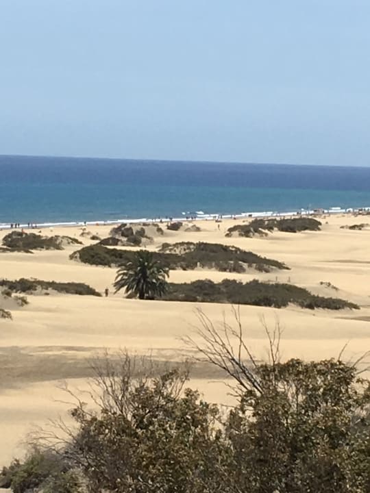 Ausblick Hotel Riu Palace Maspalomas Adults Only