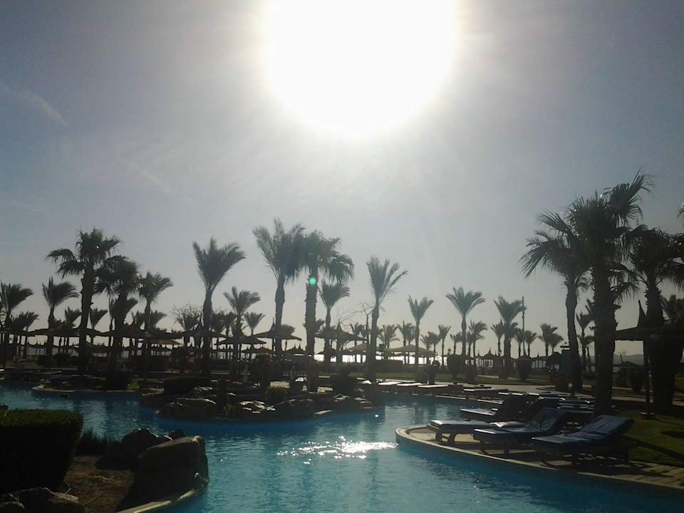 Sonnenaufgang Pickalbatros Palace Resort
